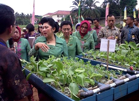 Suswono Targetkan 5 Ribu Rumah Pangan Lestari di 2013